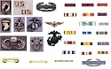 Army, Navy, Military, Air Force & USMC Specialty Insignias & Pins - All Colors and Sizes!