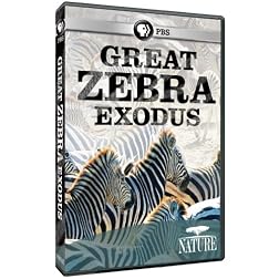 Nature: Great Zebra Exodus