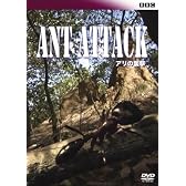 BBC アリの襲撃 [DVD]
