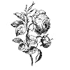 Visit This External Website