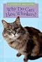 Why Do Cats Have Whiskers?