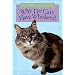 Why Do Cats Have Whiskers?