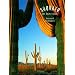 Saguaro: The Desert Giant