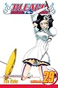 Bleach, Vol. 29 (Bleach (Graphic Novels))