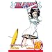Bleach, Vol. 29