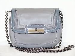 Authentic Coach Spectator Leather Crossbody Flap Chain Bag 46004 Greys