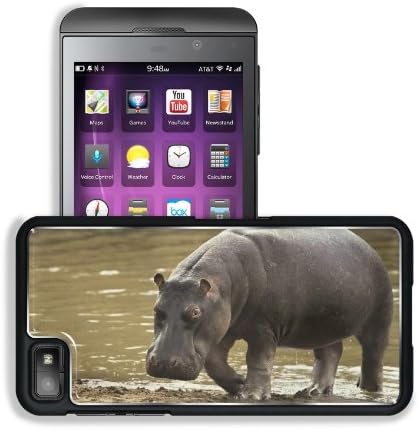 Hippopotamus Beach Water Gray Huge BlackBerry Z10 Snap Cover Premium Aluminium Design Back Plate Case Customized Made to Order Support Ready 5 3/16 inch (131mm) x 2 5/8 inch (67mm) x 4/8 inch (13mm) Liil BlackBerry Z 10 Professional Metal Cases BlackBerry_Z10 Touch Accessories Graphic Covers Designed Model HD Template Wallpaper Photo Jacket Wifi 16gb 32gb 64gb Luxury Protector Wireless Cellphone Cell Phone