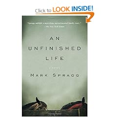 An Unfinished Life