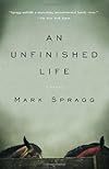 An Unfinished Life