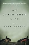 An Unfinished Life
