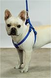 Step-In Adjustable Harness Small 5/8 in. Width Red