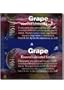 Line One Laboratories Trustex Condom, Grape, 3-Count Package (Pack of 2)