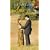 Anne of the Island (Anne of Green Gables Novels)