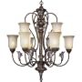 Progress Lighting P4087-55 2-Tier 9-Light Chandelier with Antique Seeded Etched Glass, Tuscany Crackle