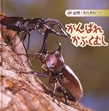 がんばれ かぶとむし (自然きらきら)