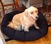 Medium 32 Bagel Donut Dog Pet Bed - Black