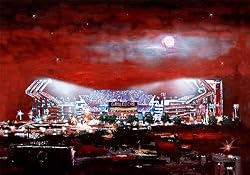 South Carolina Painting - William-Brice Stadium