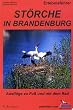 Erlebnisf�hrer St�rche in Brandenburg: Ausfl�ge zu Fu� und mit dem Rad