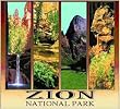 Zion National Park Coverlet