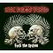 Best Punk Rock Albums Ever !