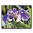 A Single Iris - Gift Enclosure Cards (set of 12)