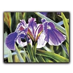 A Single Iris - Gift Enclosure Cards (set of 12)