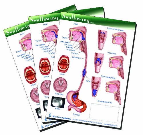 cyber monday price Blue Tree Publishing Inc., 