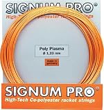 SIGNUM PRO�y�V�O�i���v���z�e�j�X�X�g�����O �|���v���Y�}1.23