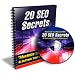20 SEO Secrets + Resell Rights