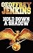Hold Down a Shadow