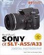 David Busch's Sony Alpha SLT-A55/A33 Guide to Digital Photography