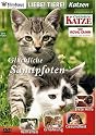 Liebe Tiere! - Katzen