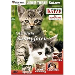Liebe Tiere! - Katzen