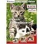 Liebe Tiere! - Katzen 