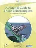 A pictorial guide to British Ephemeroptera