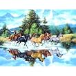 The Last of the Wild Ones 1000pc Jigsaw Puzzle by Jack Sorenson