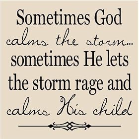 Sometimes God calms the storm...sometimes He lets the storm rage and calms His child 12x12 vinyl wall art decals sayings words lettering quotes home decor