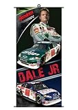 Racing Reflections Dale Earnhardt, Jr. AMP Energy 19 x 35 Vinyl Banner