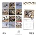 Motocross (Calendar)