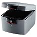 SentrySafe H3300 1.29-Cubic-Foot Fire Safe and Waterproof Security File, Silver Gray
