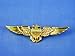 Hms Aviator Pilot Silver Pin Airline Wings Halloween Accessory