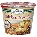 Spice Hunter Quick And Natural Chicken Noodle Soup, 1.4-Ounce Containers (Pack of 18)