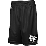 NCAA adidas Grand Valley State Lakers Black Super Logo Mesh Shorts (X-Large)