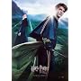 HARRY POTTER AND THE GOBLET OF FIRE SS REPRINT CEDRIC DIGGORY 27X41 POSTER