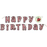 5ft Ladybug Happy Birthday Banner