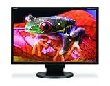 NEC MultiSync EA221WM-BK 22 inch 1680X1050 DVI 5MS SPK USB Wide LCD Black Monitor