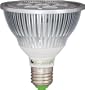 Dimmable PAR30 LED Spot Light 9 Watts (replaces 75 Watt Bulb): Cool White