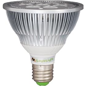 Dimmable PAR30 LED Spot Light 9 Watts (replaces 75 Watt Bulb): Warm White from Light Bulbs