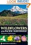 Wildflowers of the Pacific Northwest (Timber Press Field Guides)