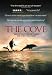 The Cove